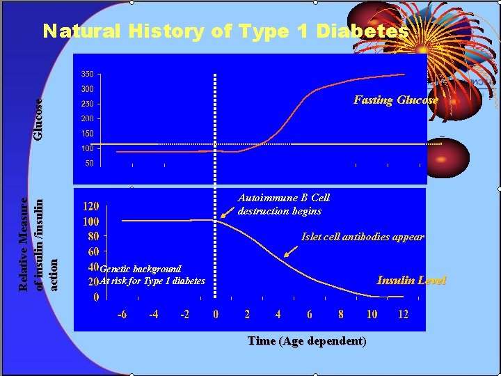 Natural History of Type 1 Diabetes Relative Measure of insulin /insulin action Glucose Fasting