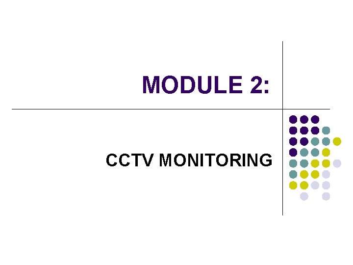 MODULE 2: CCTV MONITORING 