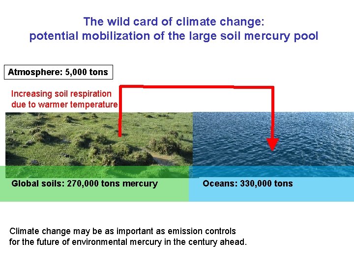 The wild card of climate change: potential mobilization of the large soil mercury pool