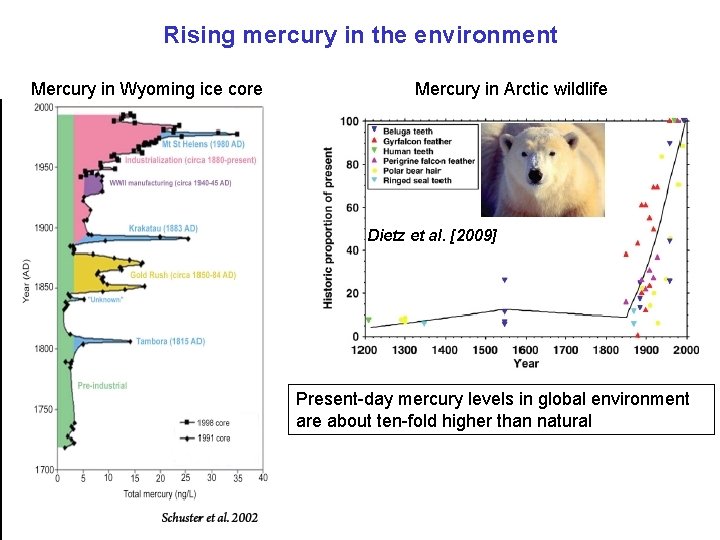 Rising mercury in the environment Mercury in Wyoming ice core Mercury in Arctic wildlife