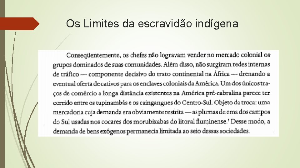 Os Limites da escravidão indígena 