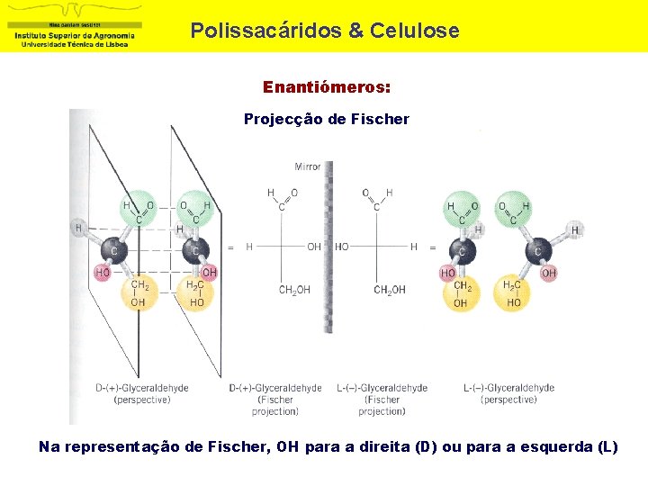 Polissacáridos & Celulose Enantiómeros: Projecção de Fischer Na representação de Fischer, OH para a