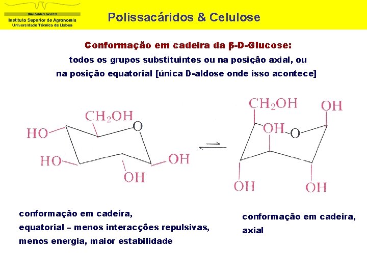 Polissacáridos & Celulose Conformação em cadeira da β-D-Glucose: todos os grupos substituintes ou na