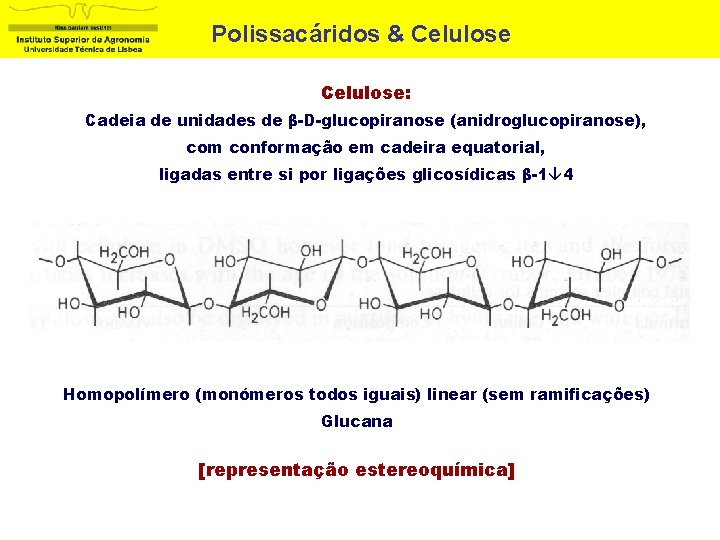 Polissacáridos & Celulose: Cadeia de unidades de β-D-glucopiranose (anidroglucopiranose), com conformação em cadeira equatorial,