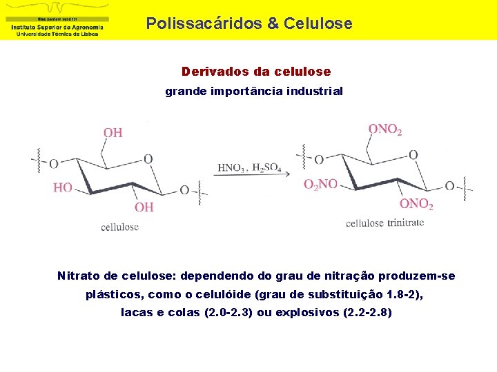 Polissacáridos & Celulose Derivados da celulose grande importância industrial Nitrato de celulose: dependendo do