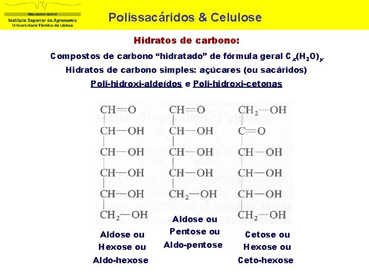 Polissacáridos & Celulose Hidratos de carbono: Compostos de carbono “hidratado” de fórmula geral C