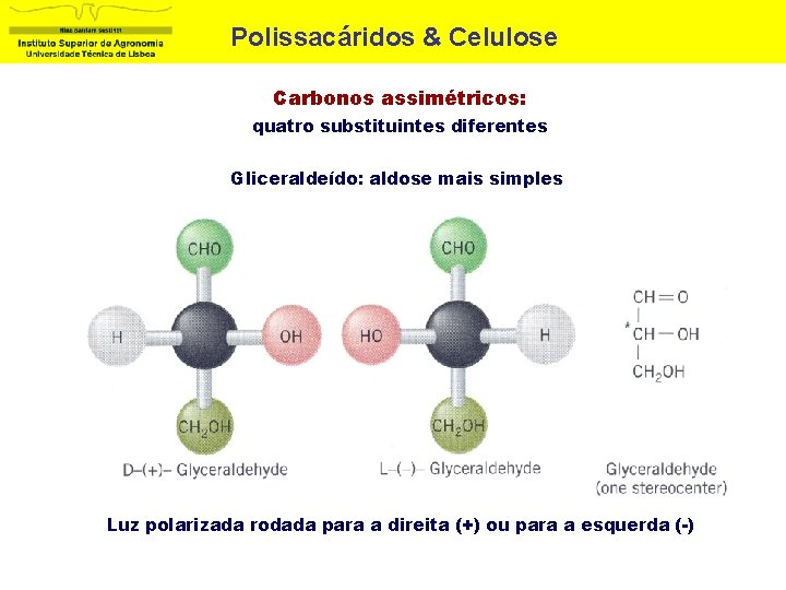 Polissacáridos & Celulose Carbonos assimétricos: quatro substituintes diferentes Gliceraldeído: aldose mais simples Luz polarizada