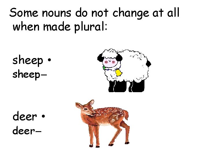 Plurale In Inglese Di Sheep