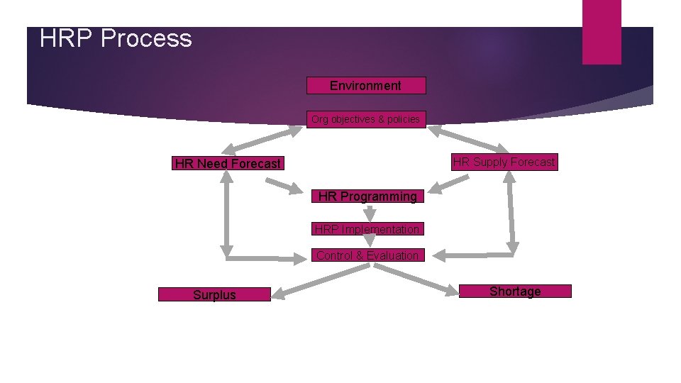 HRP Process Environment Org objectives & policies HR Supply Forecast HR Need Forecast HR