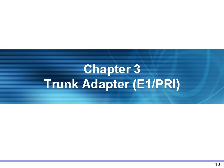 Chapter 3 Trunk Adapter (E 1/PRI) 18 