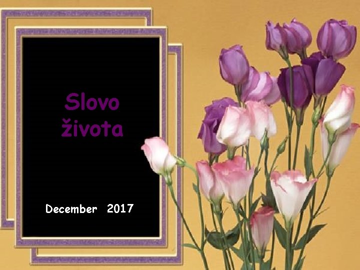 Slovo života December 2017 S 