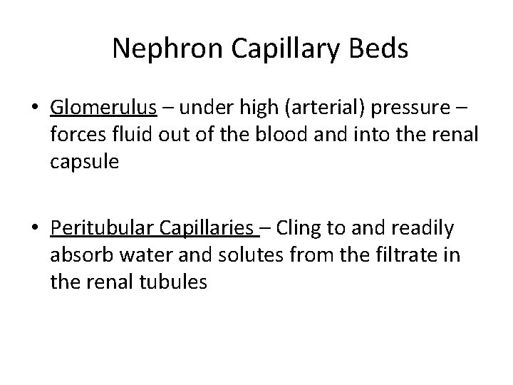 Nephron Capillary Beds • Glomerulus – under high (arterial) pressure – forces fluid out