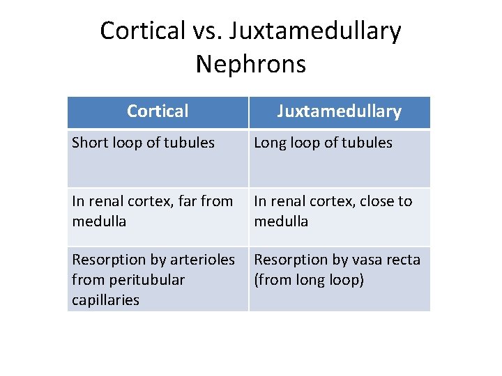 Cortical vs. Juxtamedullary Nephrons Cortical Juxtamedullary Short loop of tubules Long loop of tubules