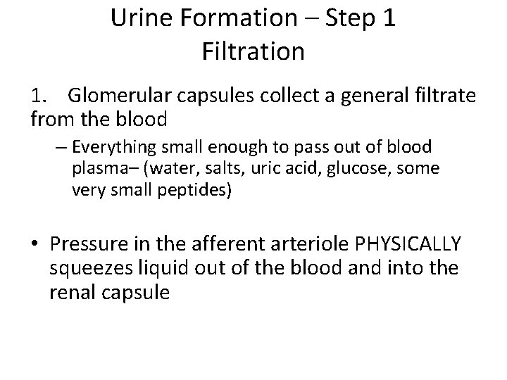 Urine Formation – Step 1 Filtration 1. Glomerular capsules collect a general filtrate from