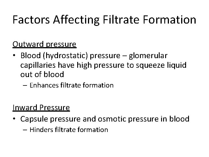 Factors Affecting Filtrate Formation Outward pressure • Blood (hydrostatic) pressure – glomerular capillaries have