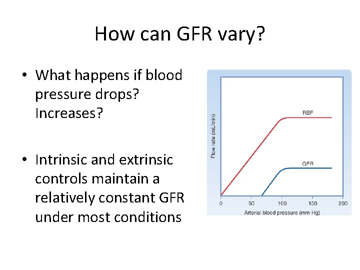 How can GFR vary? • What happens if blood pressure drops? Increases? • Intrinsic