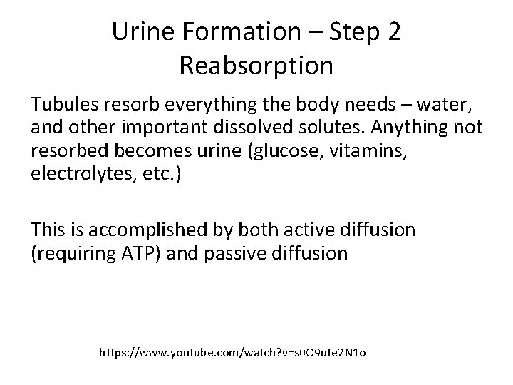 Urine Formation – Step 2 Reabsorption Tubules resorb everything the body needs – water,