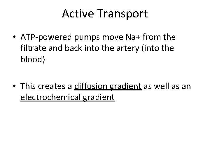 Active Transport • ATP-powered pumps move Na+ from the filtrate and back into the