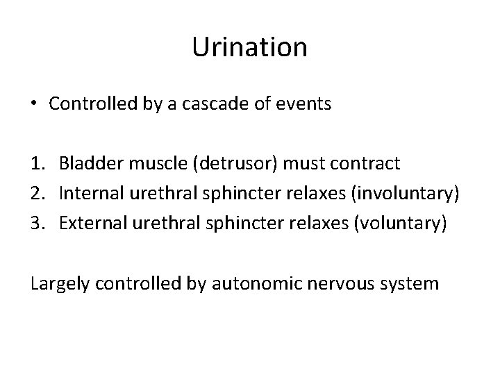 Urination • Controlled by a cascade of events 1. Bladder muscle (detrusor) must contract