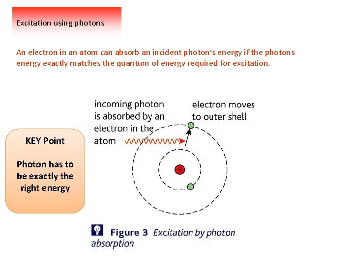 Excitation using photons An electron in an atom can absorb an incident photon’s energy