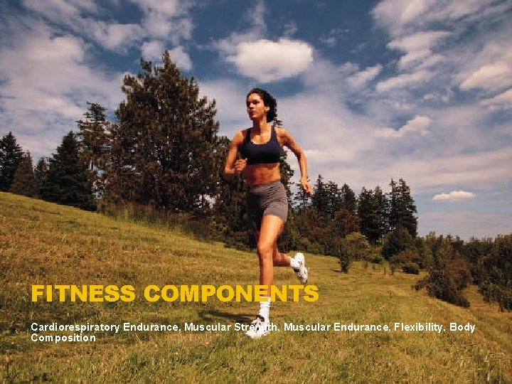 FITNESS COMPONENTS Cardiorespiratory Endurance, Muscular Strength, Muscular Endurance, Flexibility, Body Composition 