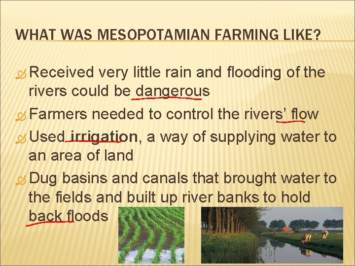 WHAT WAS MESOPOTAMIAN FARMING LIKE? Received very little rain and flooding of the rivers