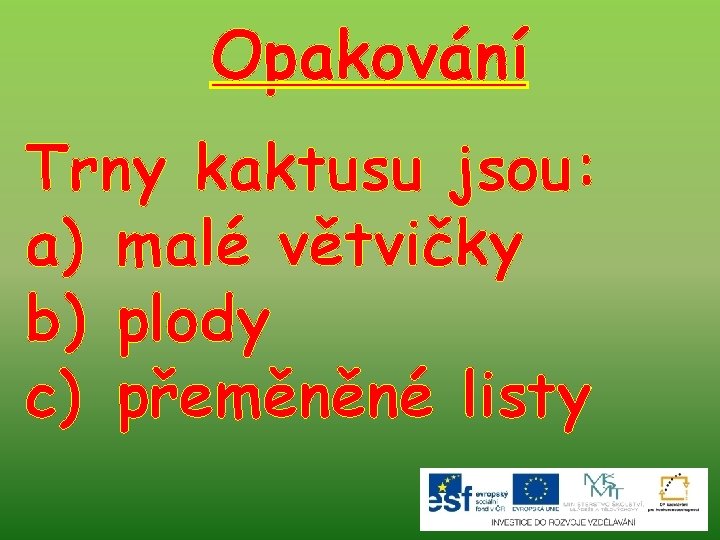 Opakování Trny kaktusu jsou: a) malé větvičky b) plody c) přeměněné listy 