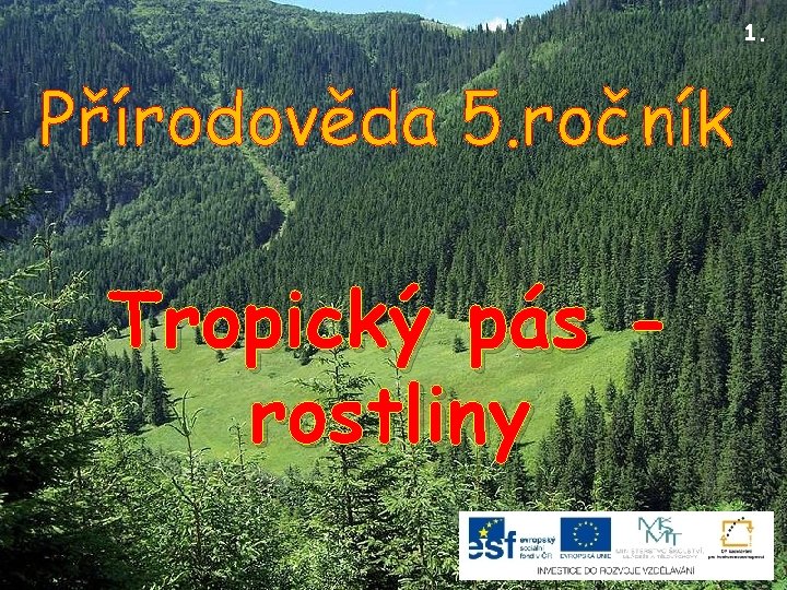 1. Přírodověda 5. ročník Tropický pás rostliny 
