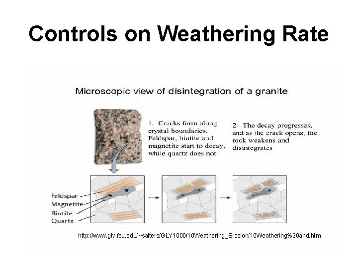Controls on Weathering Rate http: //www. gly. fsu. edu/~salters/GLY 1000/10 Weathering_Erosion/10 Weathering%20 and. htm