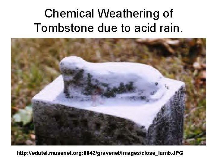 Chemical Weathering of Tombstone due to acid rain. http: //edutel. musenet. org: 8042/gravenet/images/close_lamb. JPG
