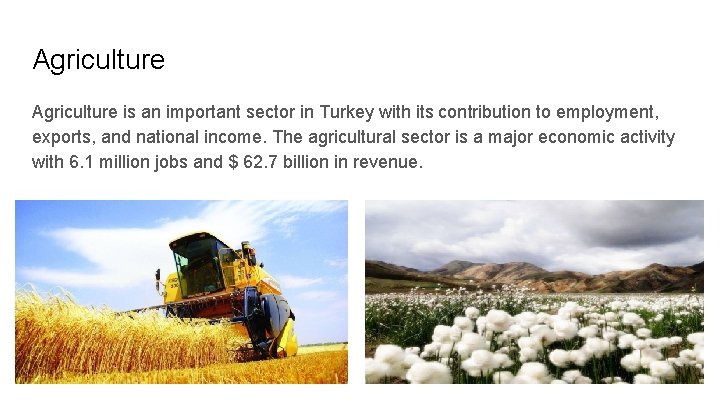 Agriculture is an important sector in Turkey with its contribution to employment, exports, and