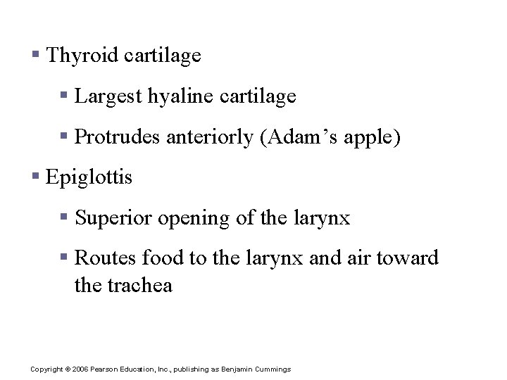 Structures of the Larynx § Thyroid cartilage § Largest hyaline cartilage § Protrudes anteriorly Structures of the Larynx § Thyroid cartilage § Largest hyaline cartilage § Protrudes anteriorly