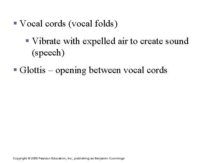 Structures of the Larynx § Vocal cords (vocal folds) § Vibrate with expelled air Structures of the Larynx § Vocal cords (vocal folds) § Vibrate with expelled air