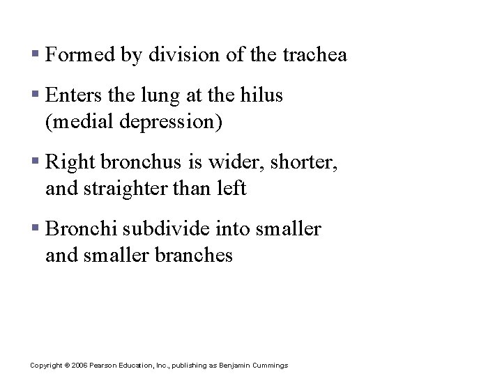 Primary Bronchi § Formed by division of the trachea § Enters the lung at Primary Bronchi § Formed by division of the trachea § Enters the lung at