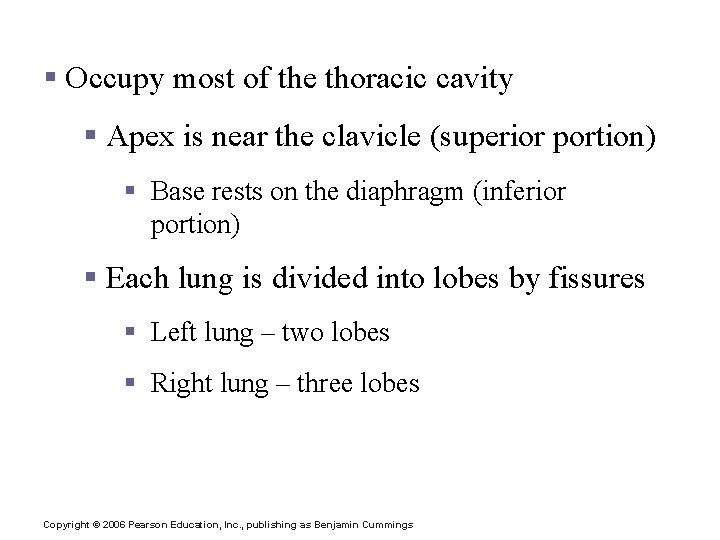 Lungs § Occupy most of the thoracic cavity § Apex is near the clavicle Lungs § Occupy most of the thoracic cavity § Apex is near the clavicle