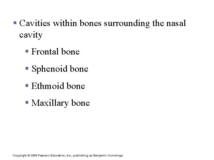 Paranasal Sinuses § Cavities within bones surrounding the nasal cavity § Frontal bone § Paranasal Sinuses § Cavities within bones surrounding the nasal cavity § Frontal bone §
