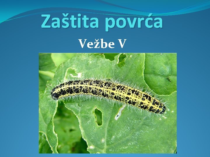 Zaštita povrća Vežbe V 