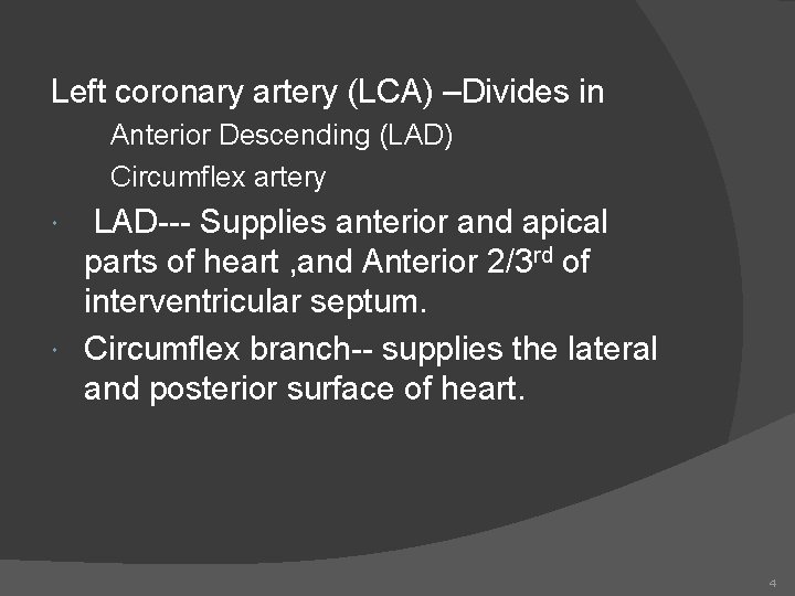 Left coronary artery (LCA) –Divides in Anterior Descending (LAD) Circumflex artery LAD--- Supplies anterior