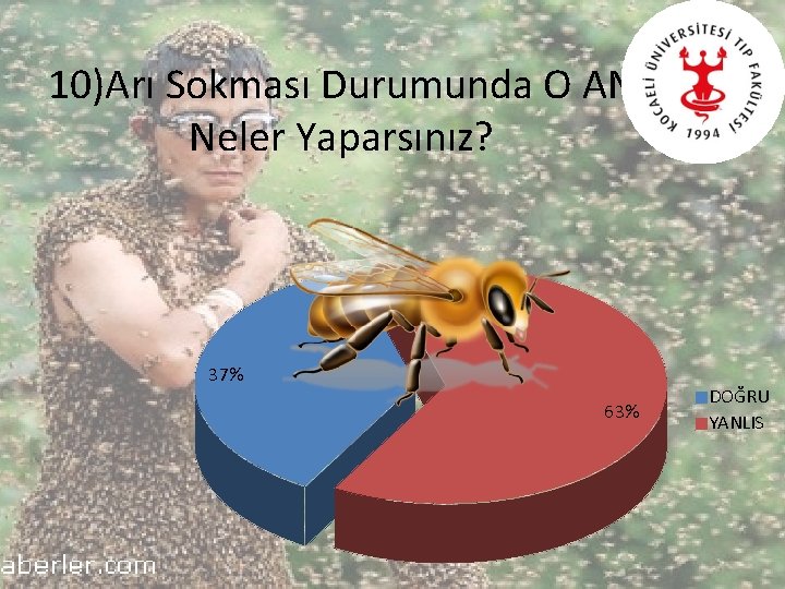 10)Arı Sokması Durumunda O AN Neler Yaparsınız? 37% 63% DOĞRU YANLIS 