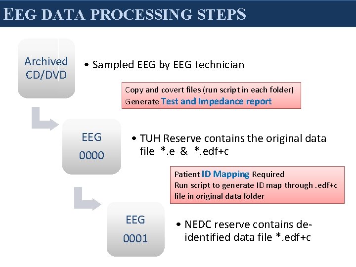 EEG DATA PROCESSING STEPS Archived CD/DVD • Sampled EEG by EEG technician Copy and