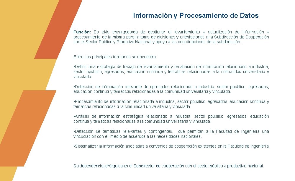 Información y Procesamiento de Datos Función: Es el/la encargado/da de gestionar el levantamiento y Información y Procesamiento de Datos Función: Es el/la encargado/da de gestionar el levantamiento y
