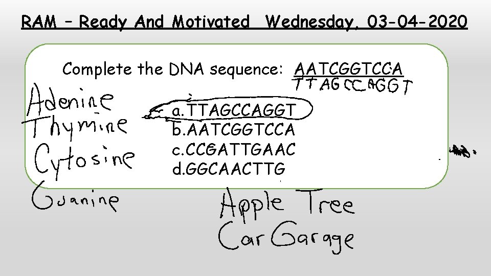 RAM – Ready And Motivated Wednesday, 03 -04 -2020 Complete the DNA sequence: AATCGGTCCA