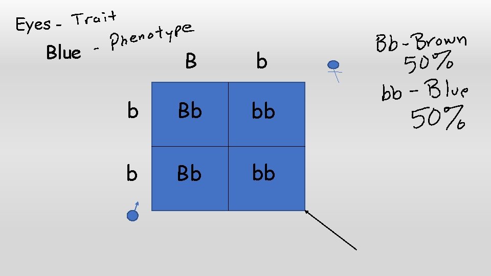 Eyes - Blue B b b Bb bb 