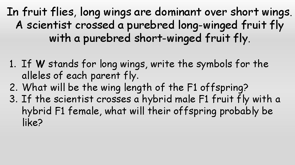 In fruit flies, long wings are dominant over short wings. A scientist crossed a