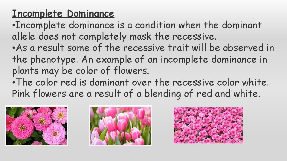 Incomplete Dominance • Incomplete dominance is a condition when the dominant allele does not