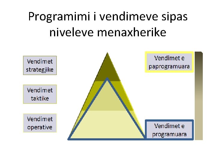 Programimi i vendimeve sipas niveleve menaxherike 