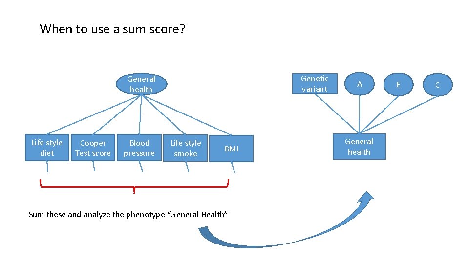 When to use a sum score? Genetic variant General health Life style diet Cooper