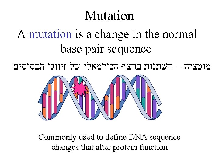 Mutation A mutation is a change in the normal base pair sequence מוטציה –