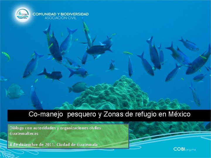 Co-manejo pesquero y Zonas de refugio en México Diálogo con autoridades y organizaciones civiles