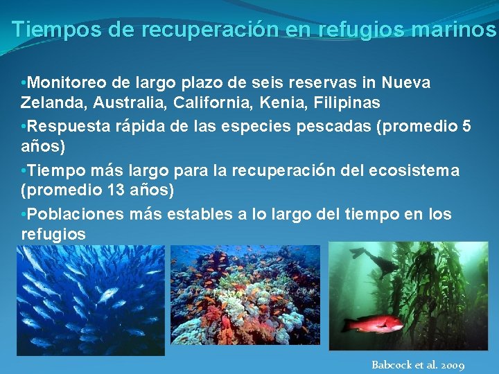 Tiempos de recuperación en refugios marinos • Monitoreo de largo plazo de seis reservas